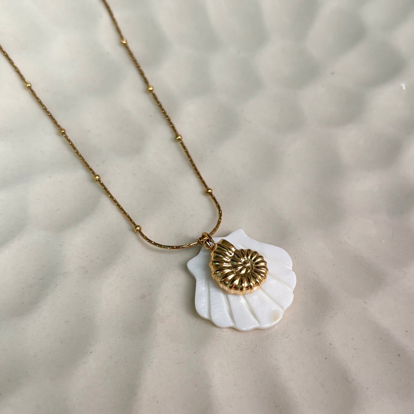 Soleil Shell Charm