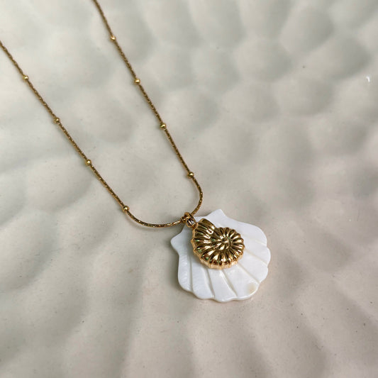 Soleil Shell Charm